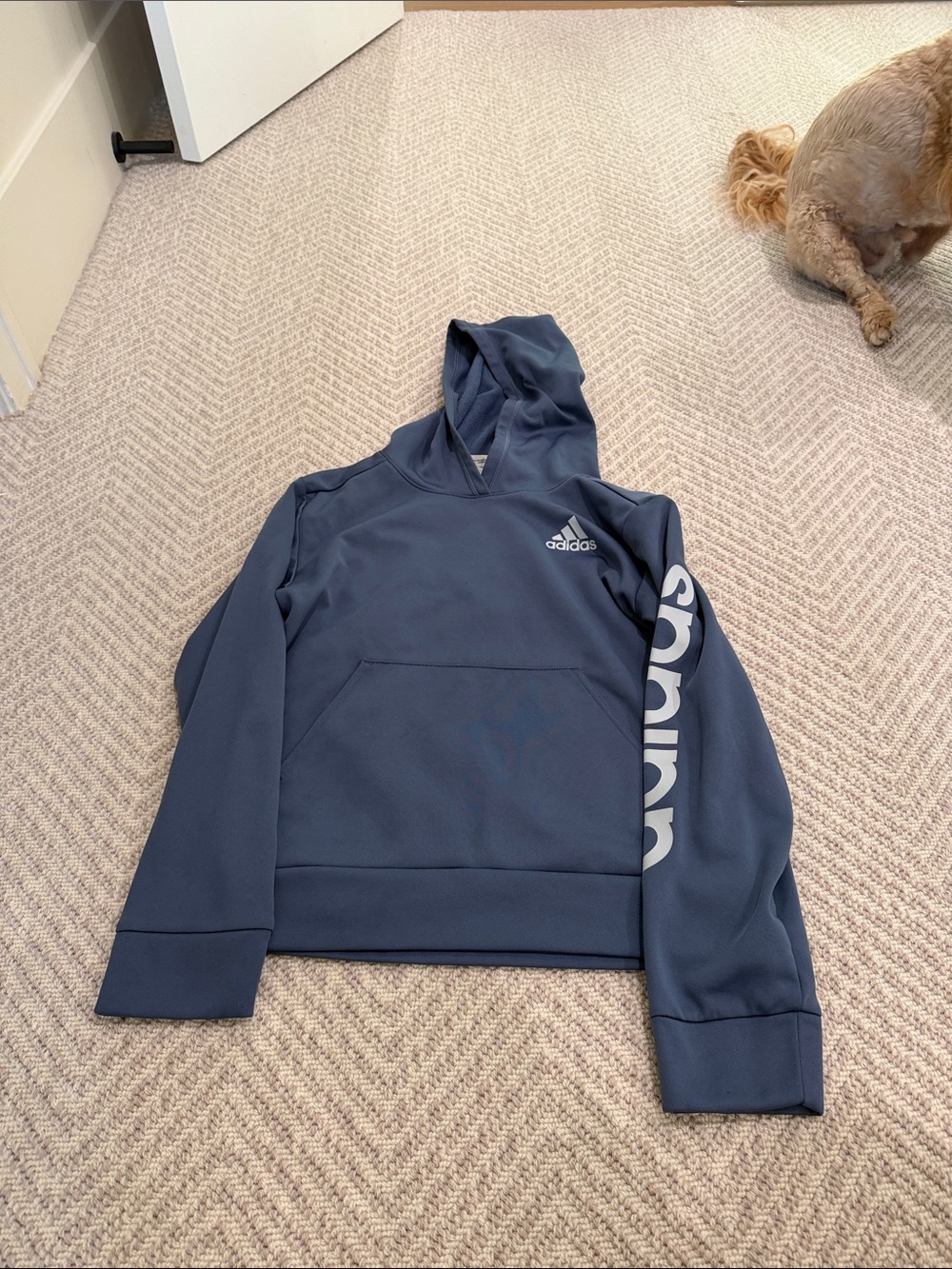 adidas Men’s Navy Crewneck Logo Hoodie